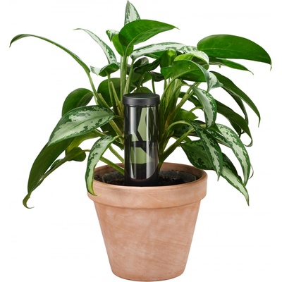 Fiskars Zavlažovací hrot 350ml 1075380 – Zboží Dáma Fiskars Zavlažovací hrot 350ml 1075380 – Zboží Dáma