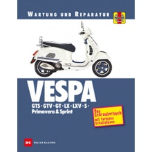 Vespa GTS, GTV, GT, LX, LXV, S, Primavera & Sprint