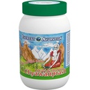 Everest Ayurveda Ajurvédsky bylinný elixír Chyawanprash 300 g