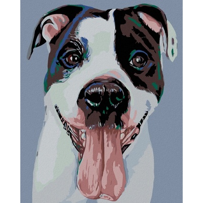 zuty Malování podle čísel Černobílý hafan 80 x 100 cm vypnuté plátno na rám 8596530012436