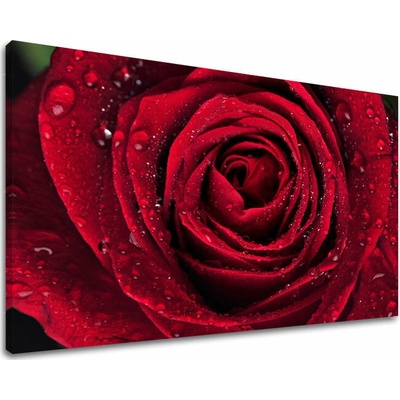 Obraz na stenu KVETY - 80x120 cm