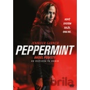 Peppermint Anděl pomsty DVD