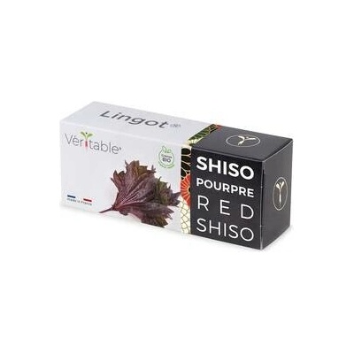 Véritable Lingot Fialový shiso BIO