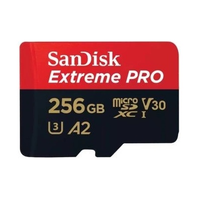 SanDisk SDXC Class 10 256GB SDSQXCD-256G-GN6MA