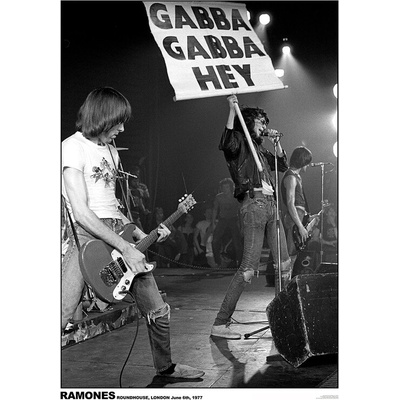 Plagát, Obraz - Ramones Roundhouse - London 1977, 59.4 × 84.1 cm