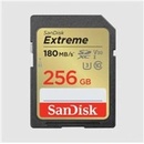 SanDisk SDXC 512 GB SDSDXVV-512G-GNCIN