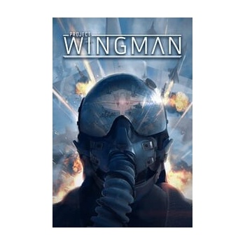 Project Wingman