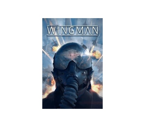 Project Wingman