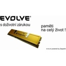 EVOLVEO Zeppelin GOLD DDR3 4GB 1333MHz (2x2GB) CL9 2G/1333/XK2 EG