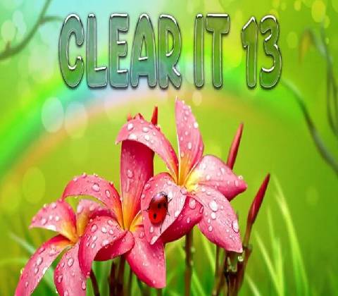 Clear It 13