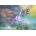 Grafika Art Puzzle - Puzzle Josephine Wall: Joie de Vivre - 1 500 piese