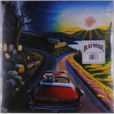 Haywire 617 - I Don't Wanna Say Goodbye LP