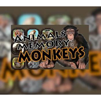 Animals Memory: Monkeys