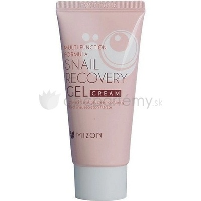 Mizon Multi Function Formula Lightweight Snail Gel Cream Containing 74% of Snail Secretion Filtrate pleťový gél 45 ml