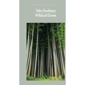 Wildcat Dome | Yuko Tsushima (ISBN: 9780241649466)