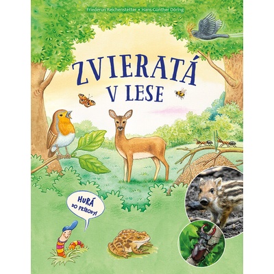 Zvieratá v lese - Reichenstetterová Friederun