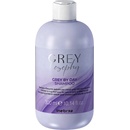 Inebrya Grey By Day Shampoo 300 ml