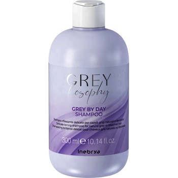Inebrya Grey By Day Shampoo 300 ml