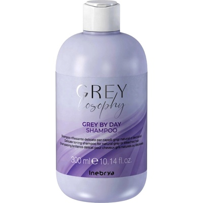 Inebrya Grey By Day Shampoo 300 ml