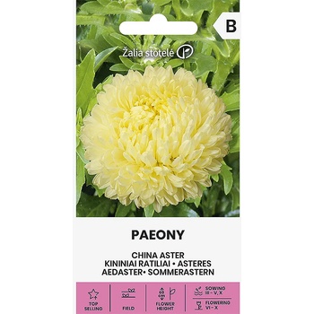 Image 1 of Seklos Астри Жълти Паеони Callistephus chinensis L Ness Paeony