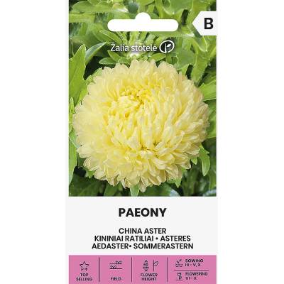 Seklos Астри Жълти Паеони Callistephus chinensis L Ness Paeony