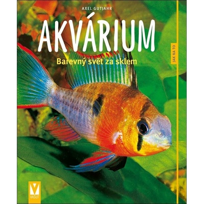 Akvárium - Barevný svět za sklem - Jak na to