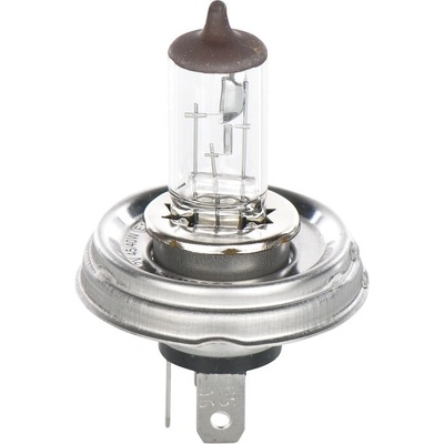 BOSCH žárovka R2 45/40W 12V P45T - 1 kus
