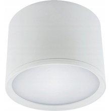 Stropné svietidlo biele 580lm ROLEN LED 7W 4000K Ideus 03108