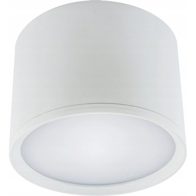 Stropné svietidlo biele 580lm ROLEN LED 7W 4000K Ideus 03108
