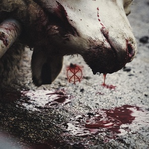 Mystic Production To the Grave: Director's Cuts - CD (056927)