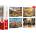 Trefl - Puzzle 4x1000 Premium Plus: Painted Towns + Capibaras - 1 000 piese