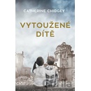 Vytoužené dítě