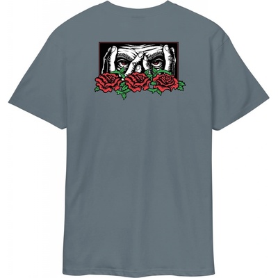 Santa Cruz Dressen Roses Ever-slick Tee Iron