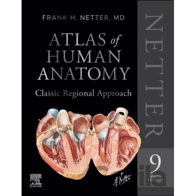 Netter Atlas of Human Anatomy: Classic Regional Approach - Frank H. Netter