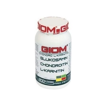 GIOM ERA chondro L-karnitin 200 g