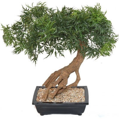 Luxusní umělý strom ARALIA BONSAI, 60cm