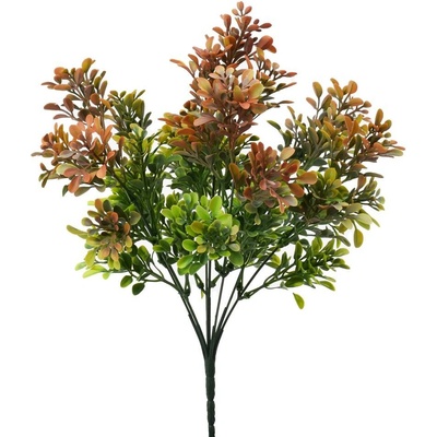 ZELEŇ DROB. LÍSTKY ZELENO-ČERVENÁ 34CM