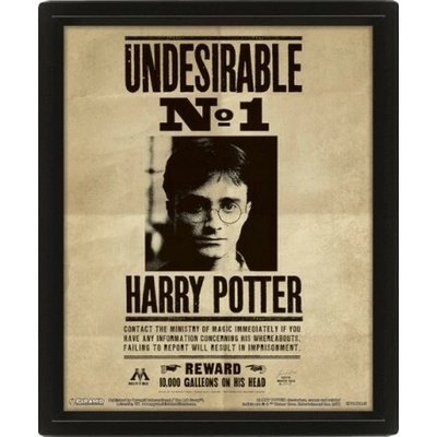 Obraz Harry Potter Sirius Black 3D