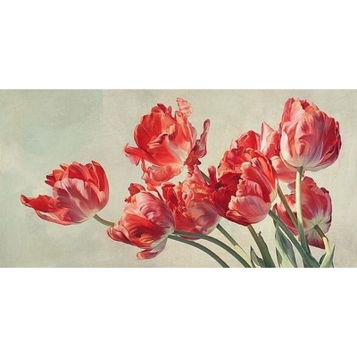 Obraz-červených tulipánů 1 deska 100x50
