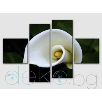 Image 1 of Изящна кала (30082)