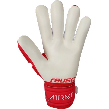 Image 1 of Reusch Attrakt Freegel TW