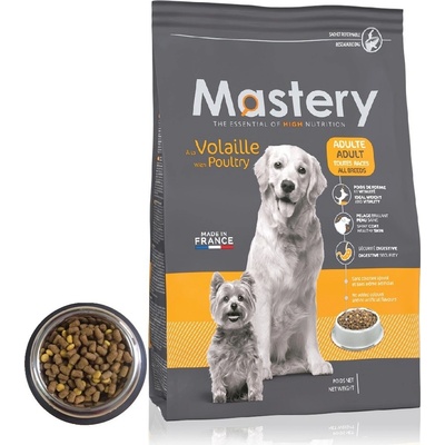 Mastery Dog Adult with poultry 12 kg