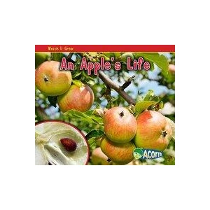An Apple's Life | Nancy Dickmann, Nancy E. Harris (ISBN: 9781432941505)