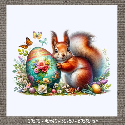 Obraz VEVERIČKA g 60x60 cm