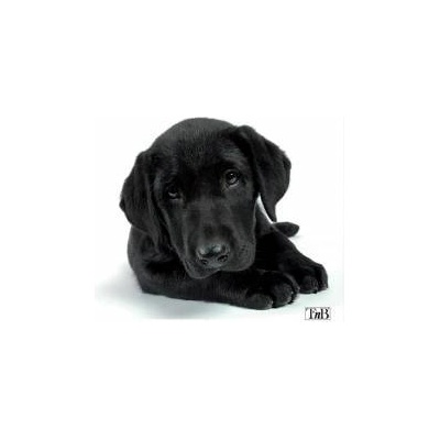 T'nB Пад за мишка TNB Illustrated Dog, 220 х 180 х 3 мм, С илюстрация, Черен / Бял, office1_2045200069