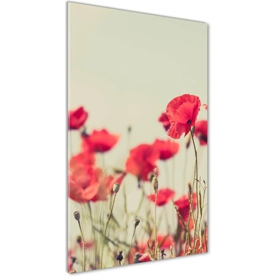 Vertikálny fotoobraz na skle Polné maky 50x100 cm