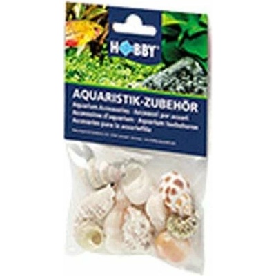 Hobby Sea Shells Set M 10 ks