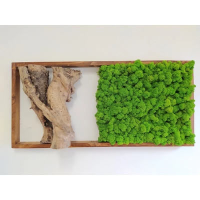 Machový obraz s exkluzívnym drevom 40cm x 85cm