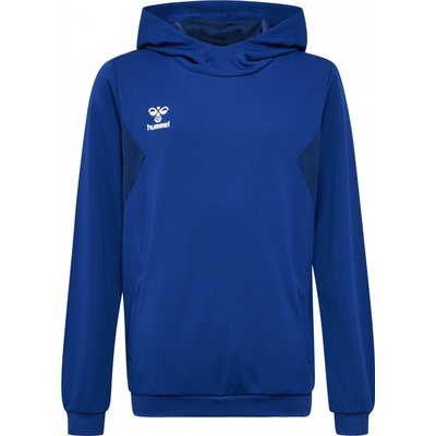 Hummel HML Authentic Pl Hoodie Kids 219977-7045