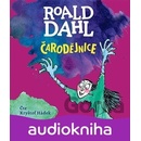 Čarodějnice - Roald Dahl